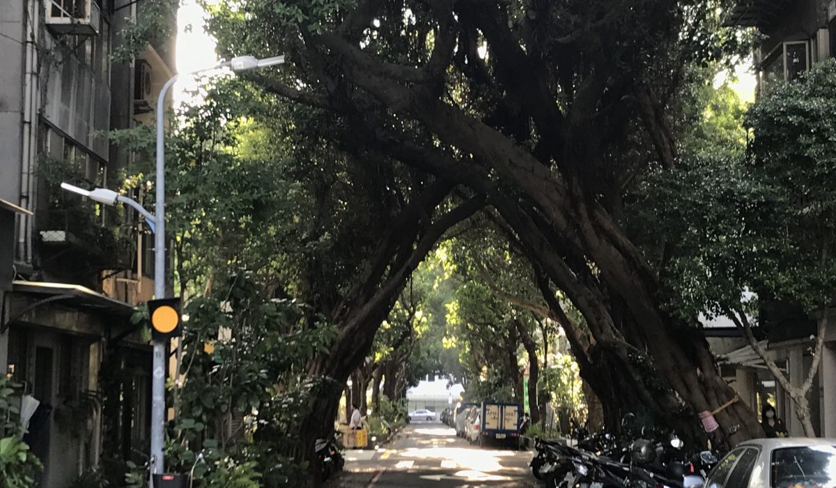 台北市區樹徑連走：有關十種綠類型的串聯