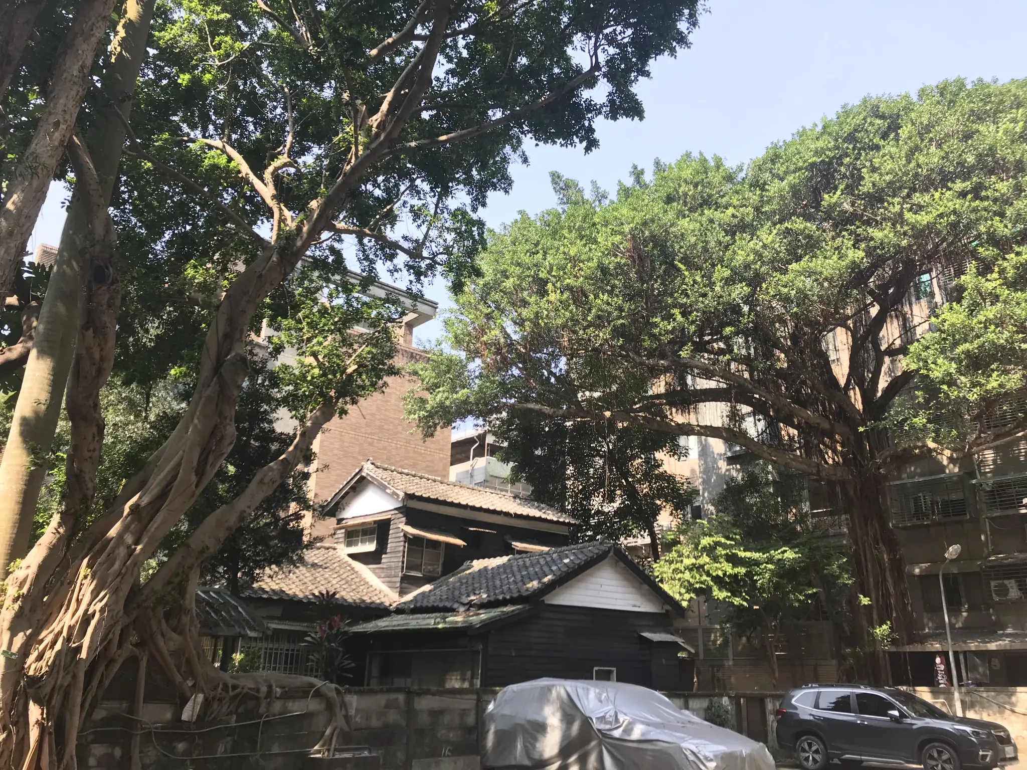 Read more about the article B17停車場旁的二層木屋
