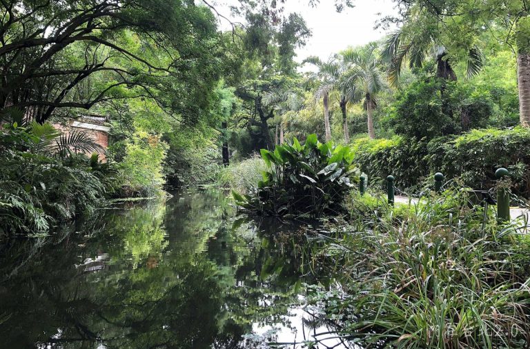 Read more about the article 綠色方舟：植物園