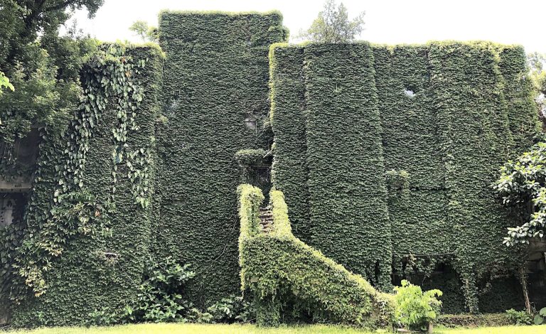 Read more about the article 廢墟的現世與來生