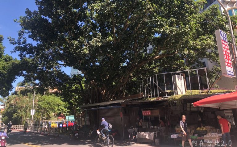 Read more about the article 吳興街的尾巴