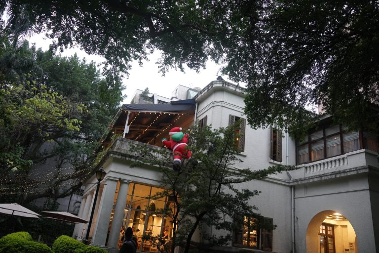 Read more about the article 台北行道樹之二：觀察一棵樹中山北路二段的樟樹、楓香