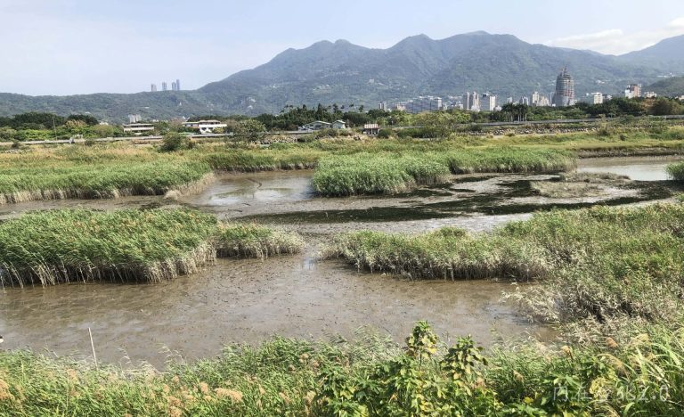Read more about the article 遼遠:社子島的堤上與堤外