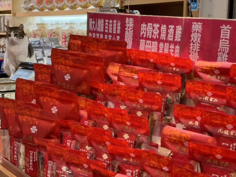 Read more about the article 走在時間裡：立冬——在盆地的初涼中，以溫潤潛藏修復身心底氣